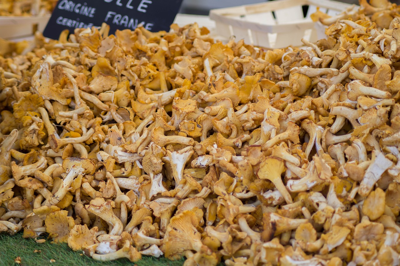 mushrooms  chanterelle mushrooms  market free photo