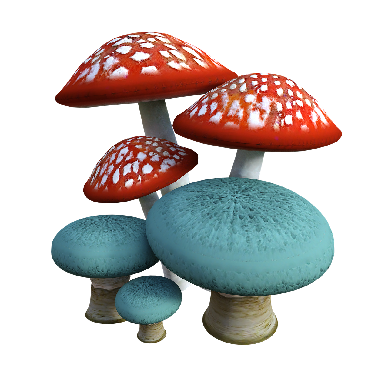 mushrooms  mushroom  fungi free photo