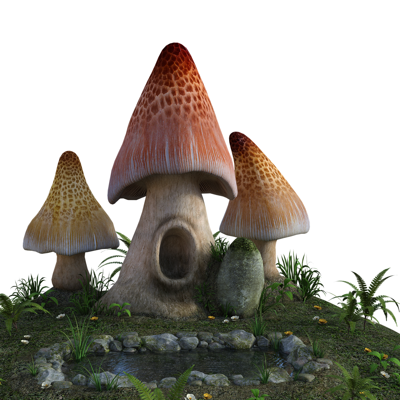 mushrooms  3d  pond free photo