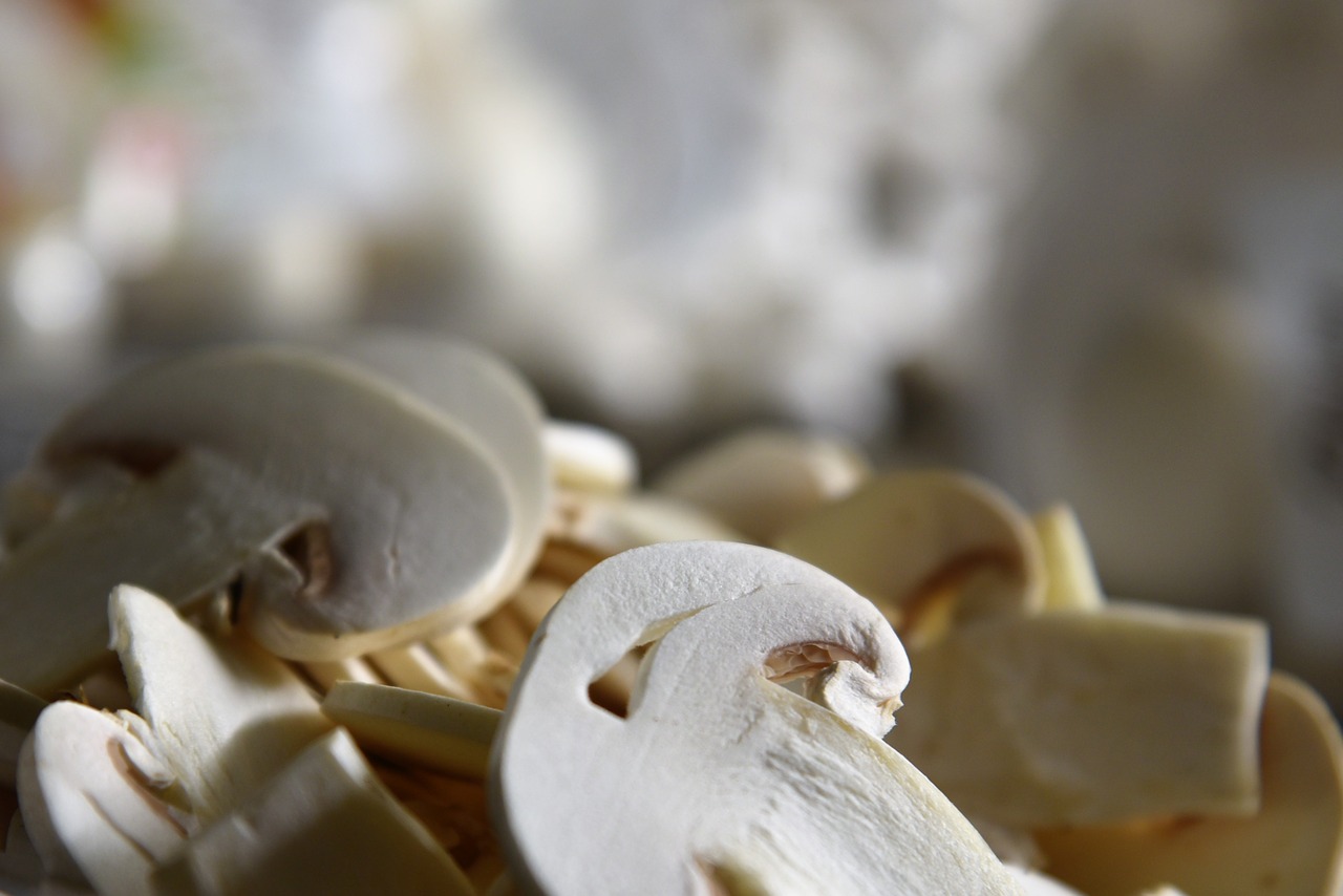 mushrooms  farming  cultivation free photo