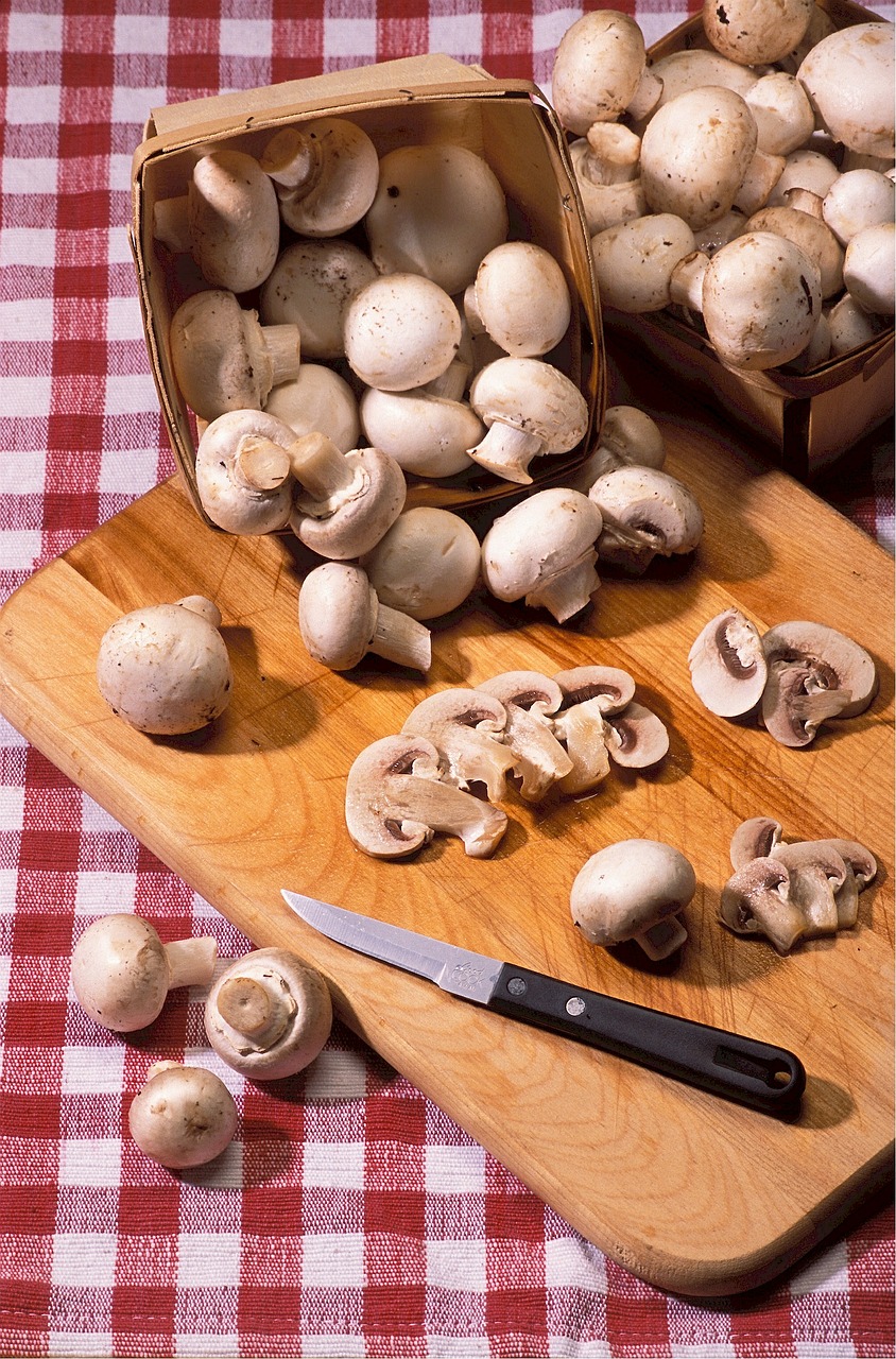 mushrooms salad pizza free photo