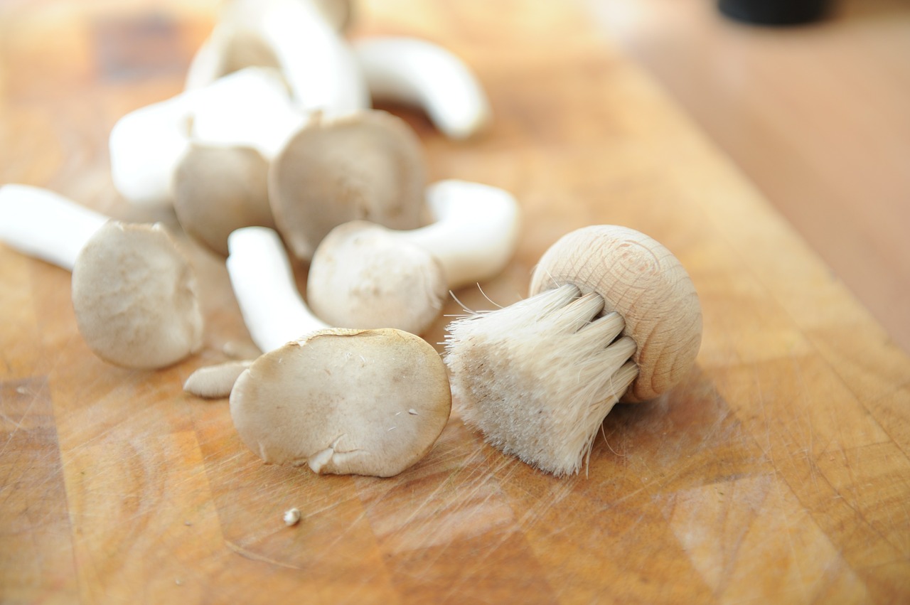 mushrooms brush board free photo