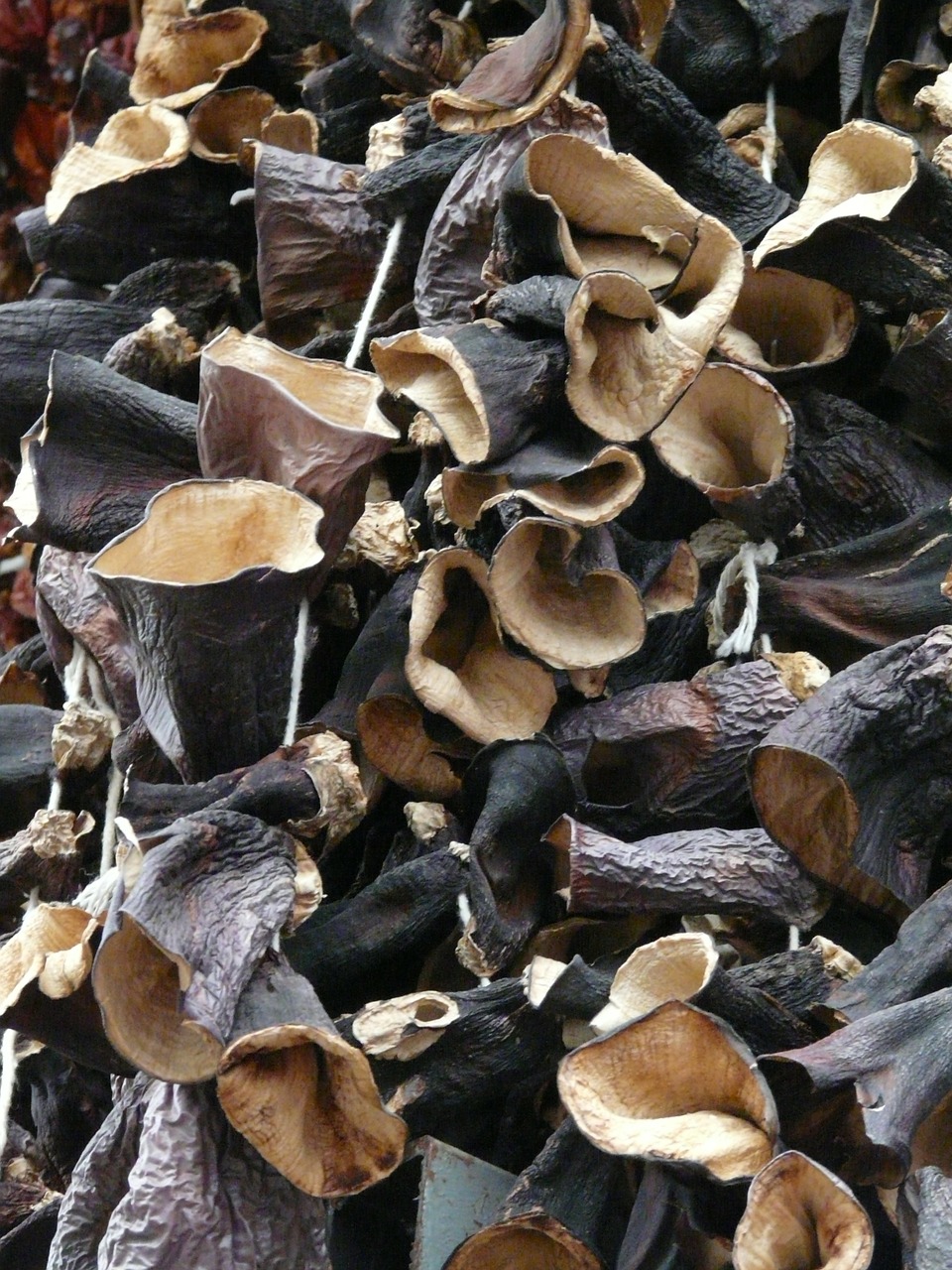 mushrooms dried judas ears free photo