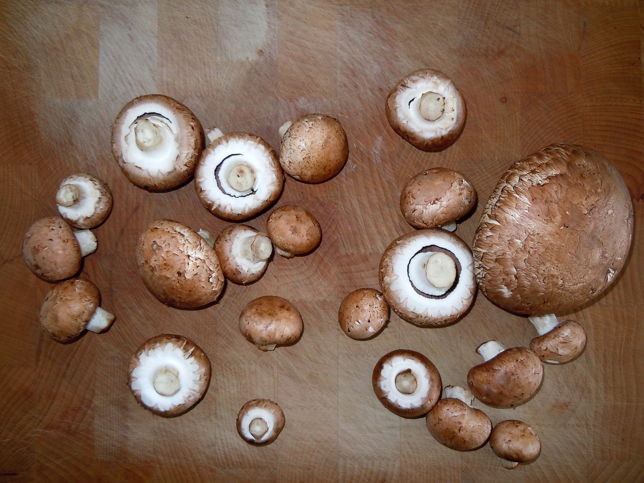 mushrooms wooden board cook free photo