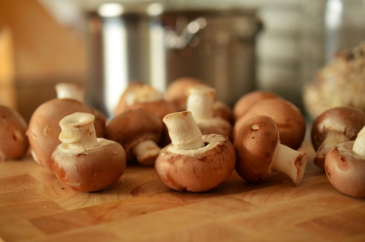 mushrooms brown mushrooms cook free photo