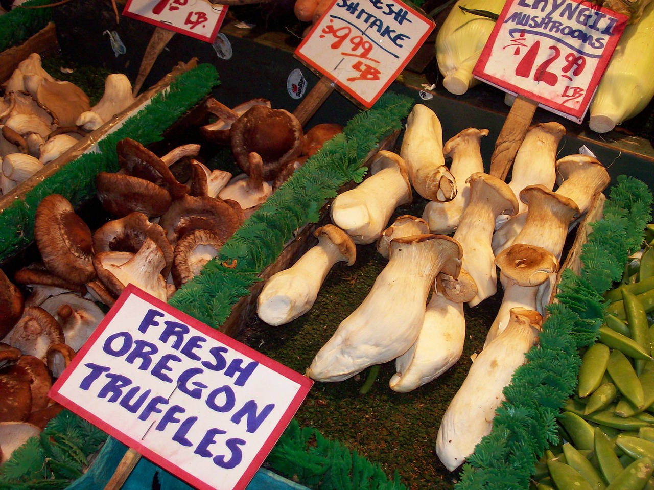 mushrooms truffles farmers market free photo