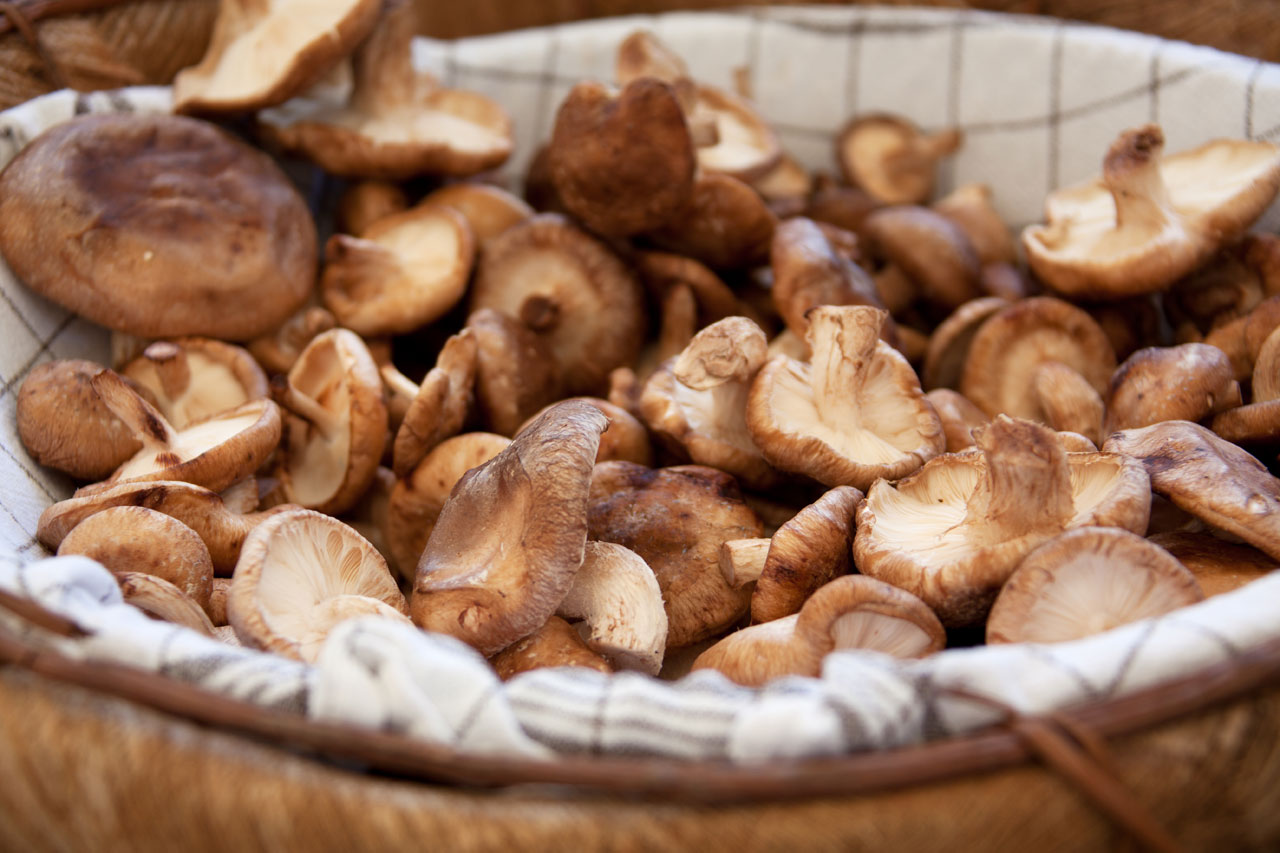 basket brown cuisine free photo