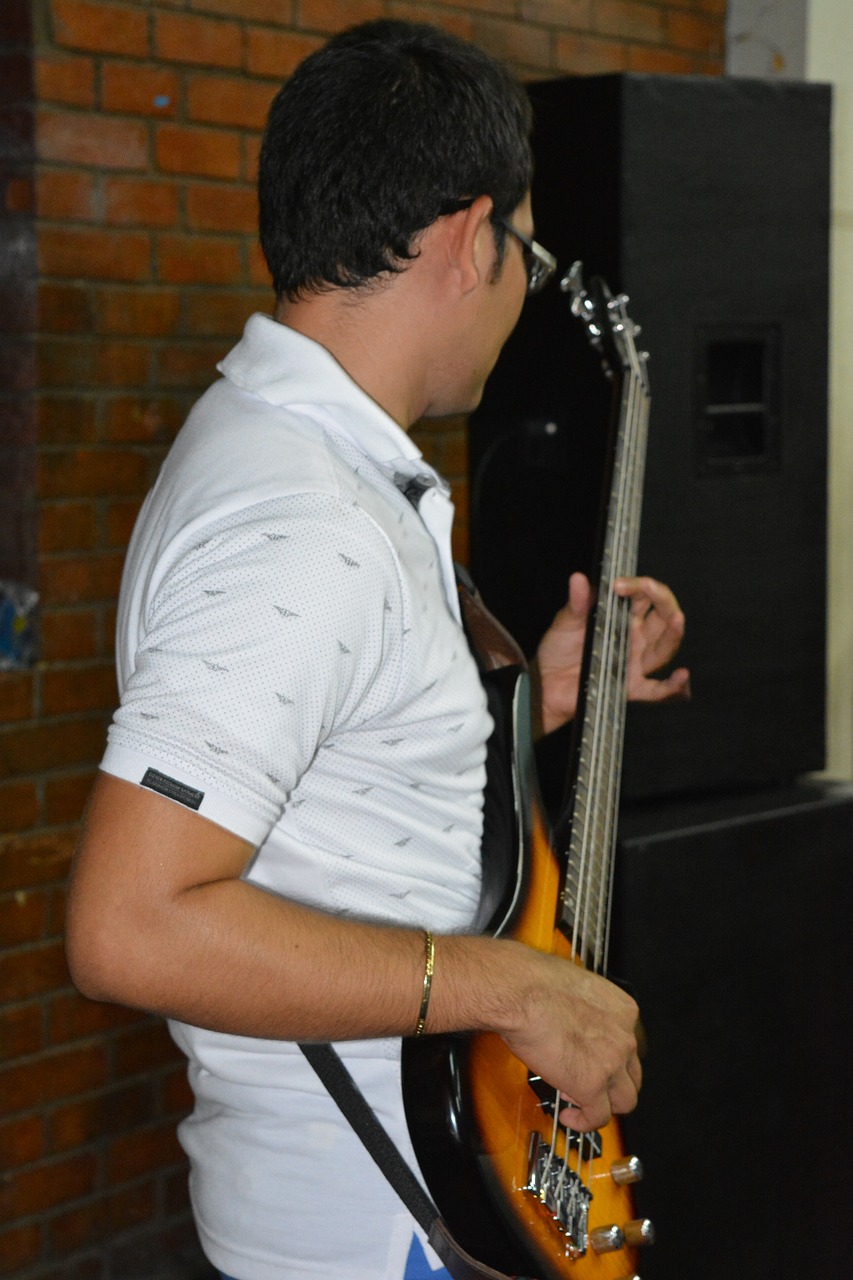 music talent bassist free photo