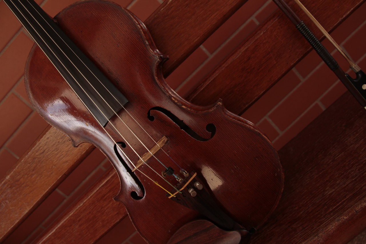 music violin classic free photo