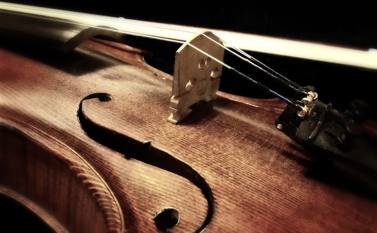 music musical instrument violin free photo