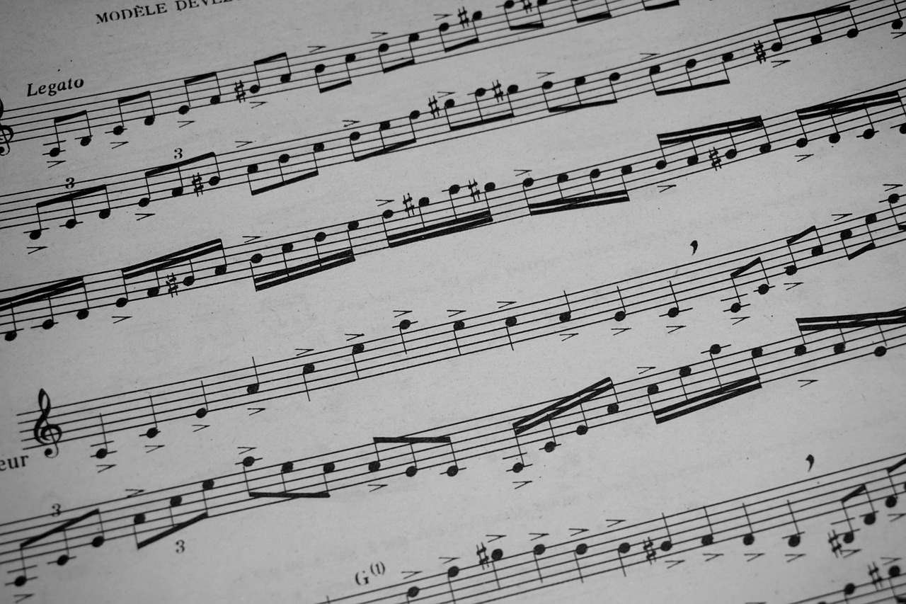 music partion notes free photo