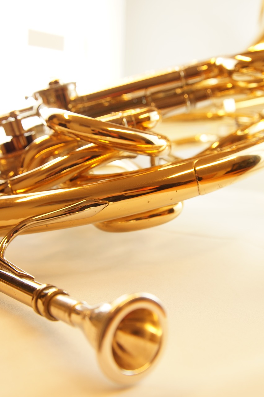 music horn musical instrument free photo