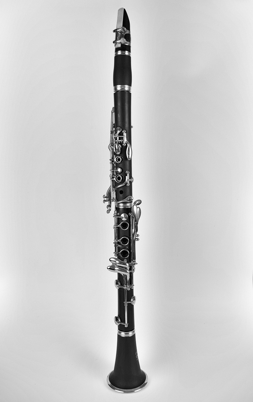 music clarinet musical instrument free photo