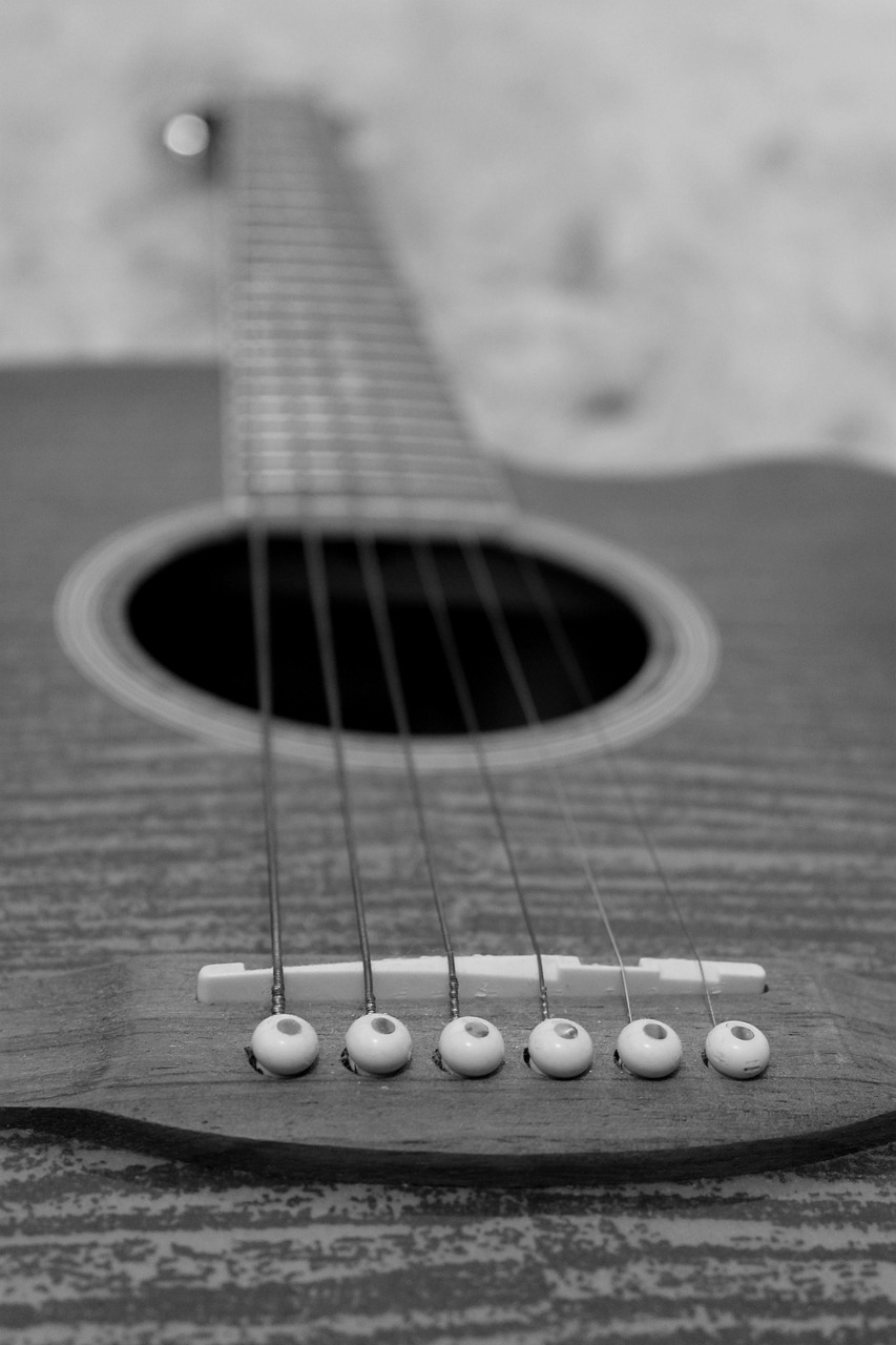 music guitar instrument free photo