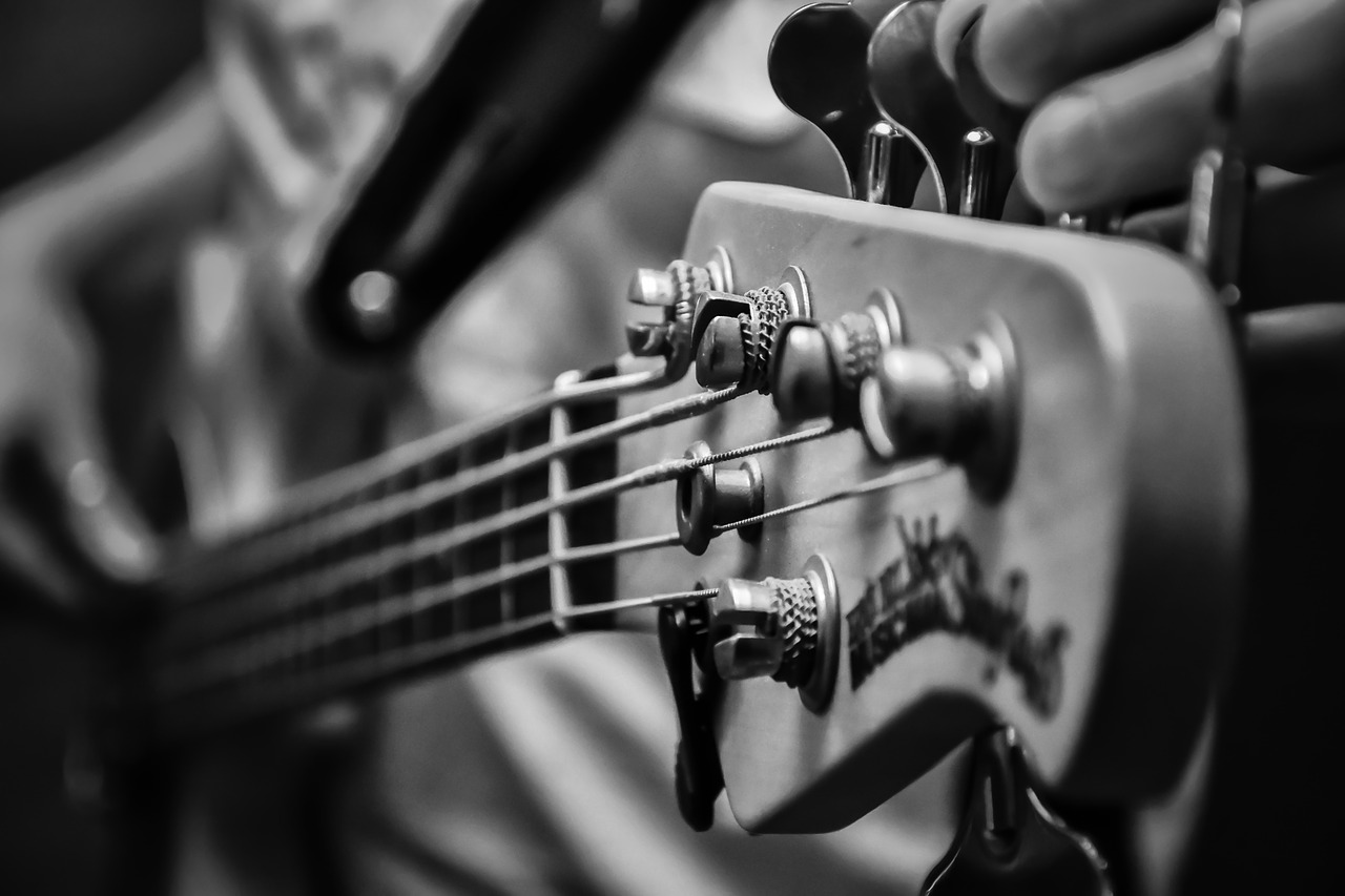 music low electric bass free photo