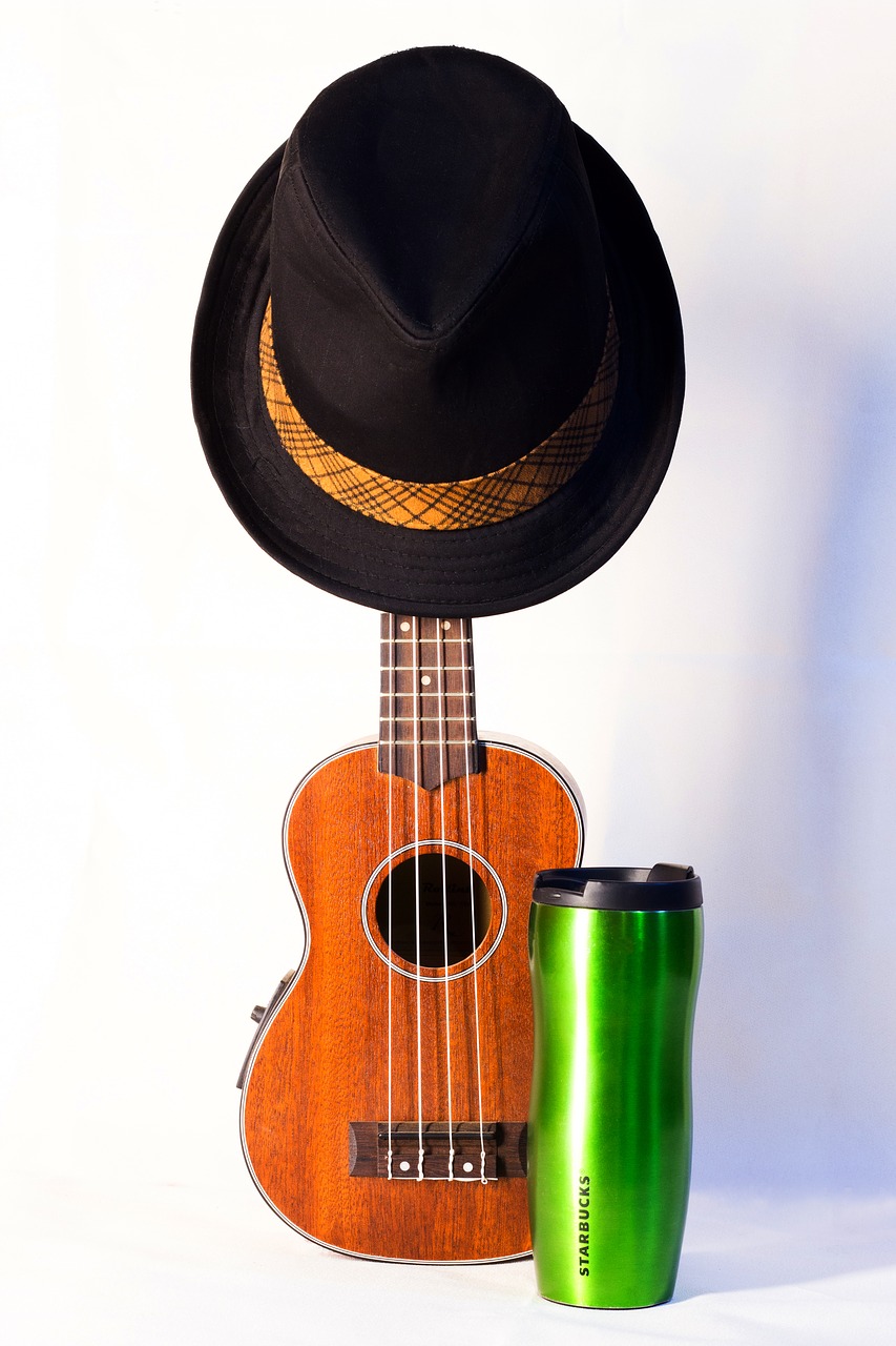 music ukulele hat free photo