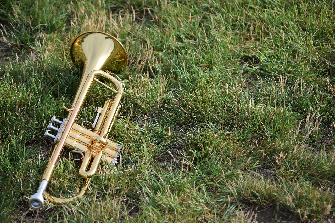 music musical instruments horns free photo