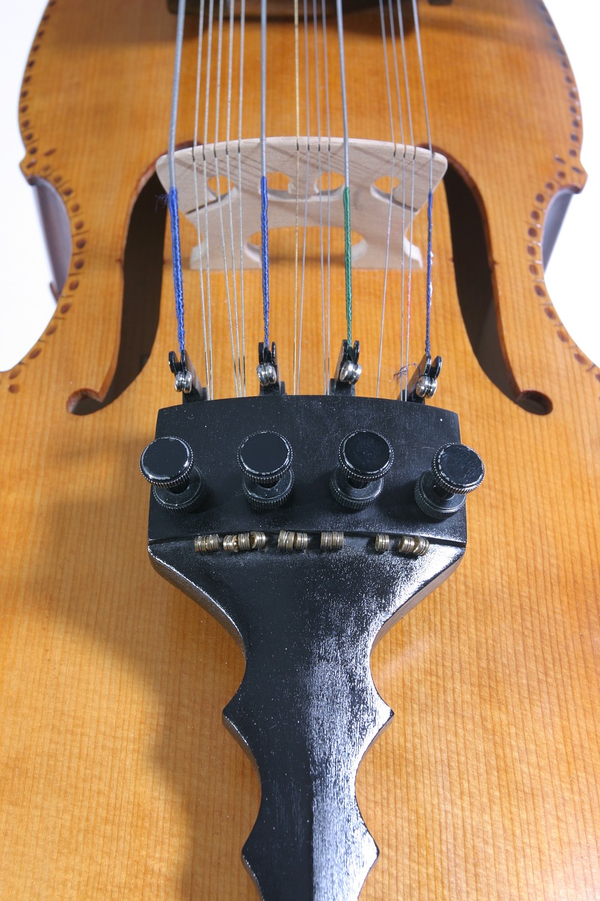 music  instruments  nyckelharpa free photo
