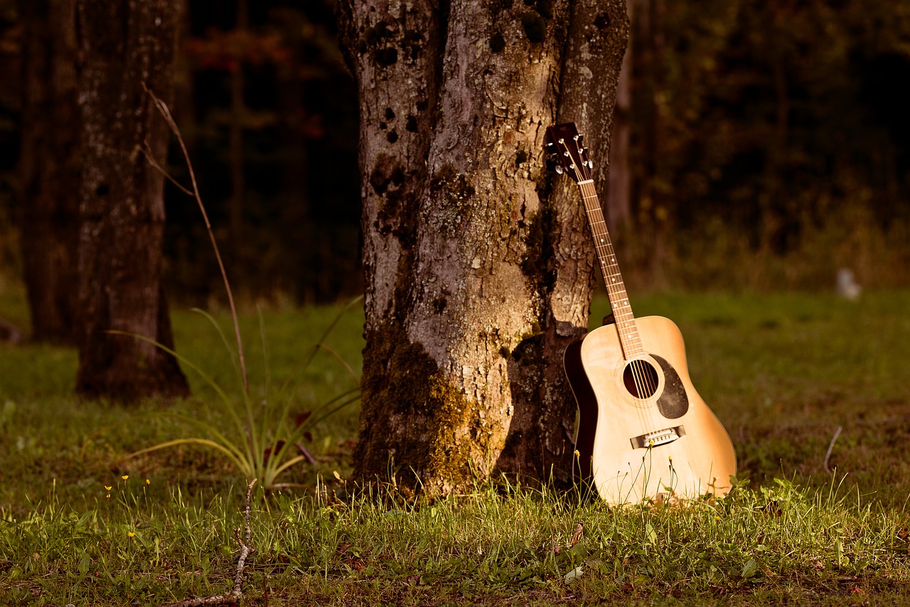 music  nature  tree free photo