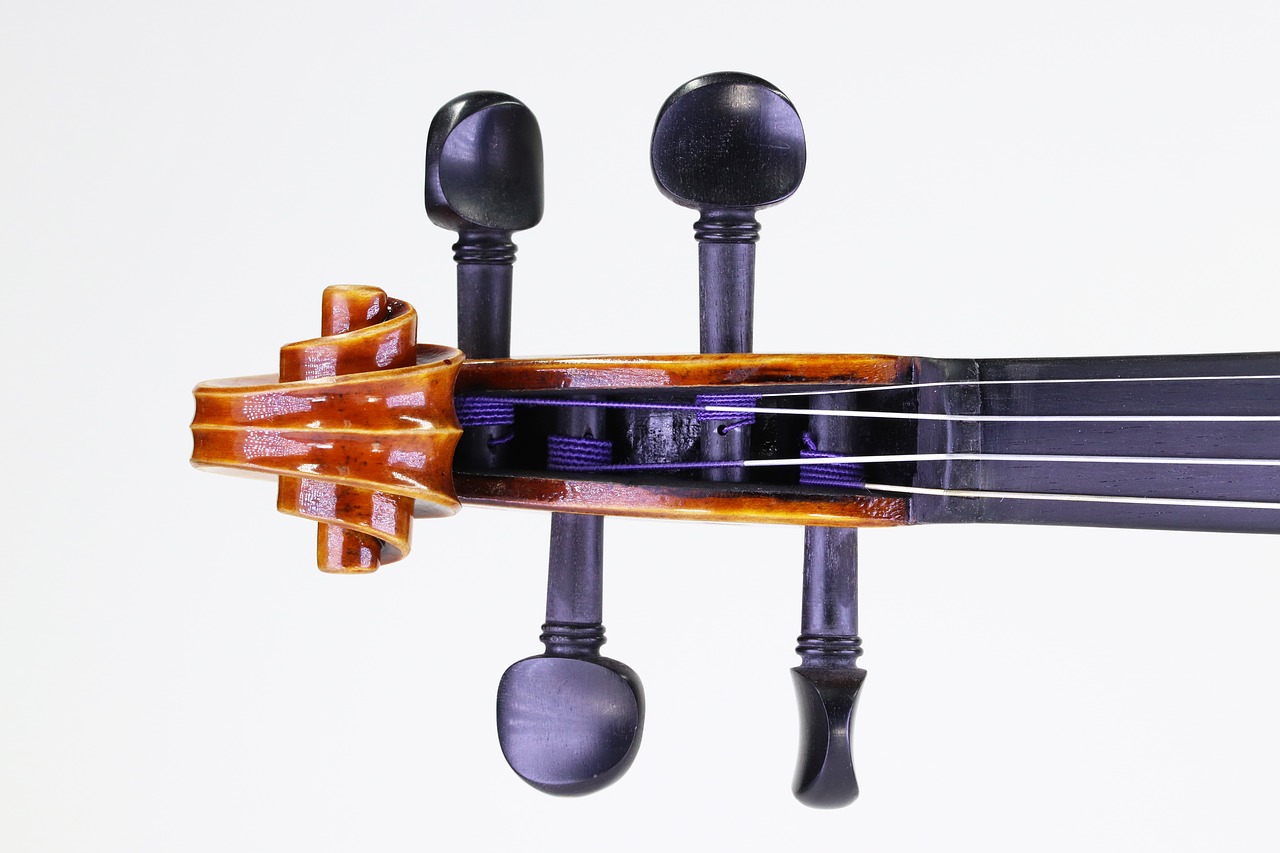 music  violin  instrument free photo