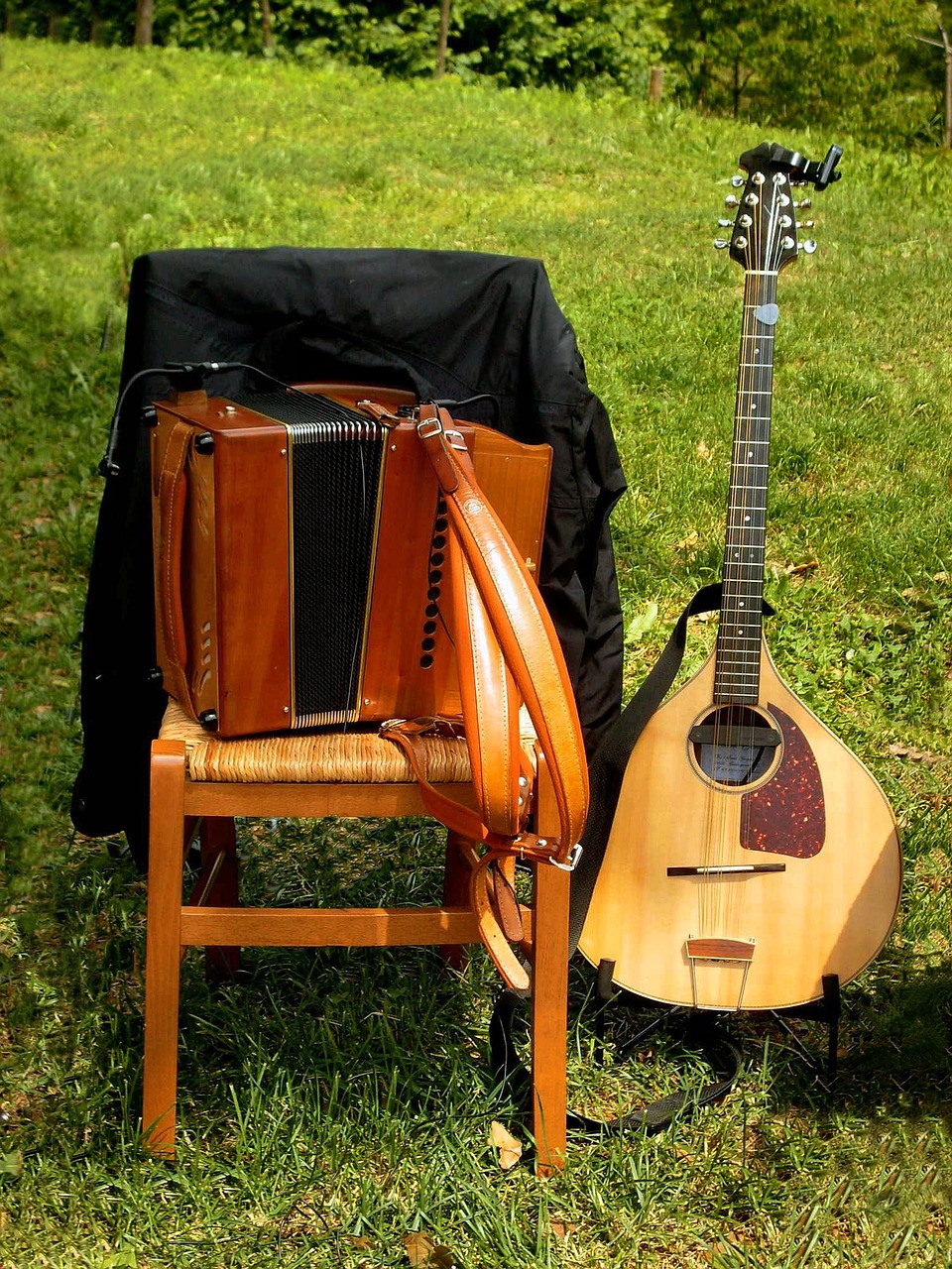 music musical instruments folk free photo
