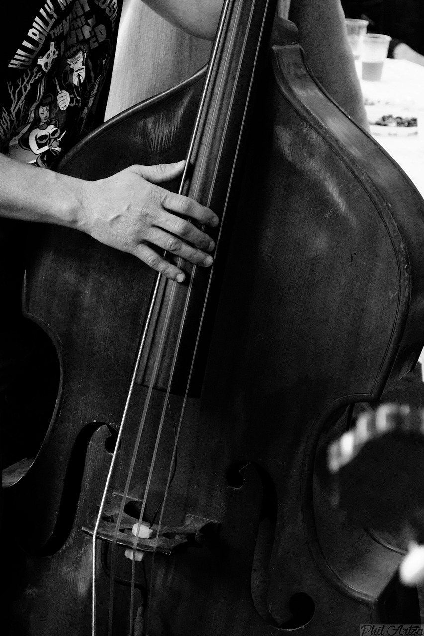 music double bass concert free photo