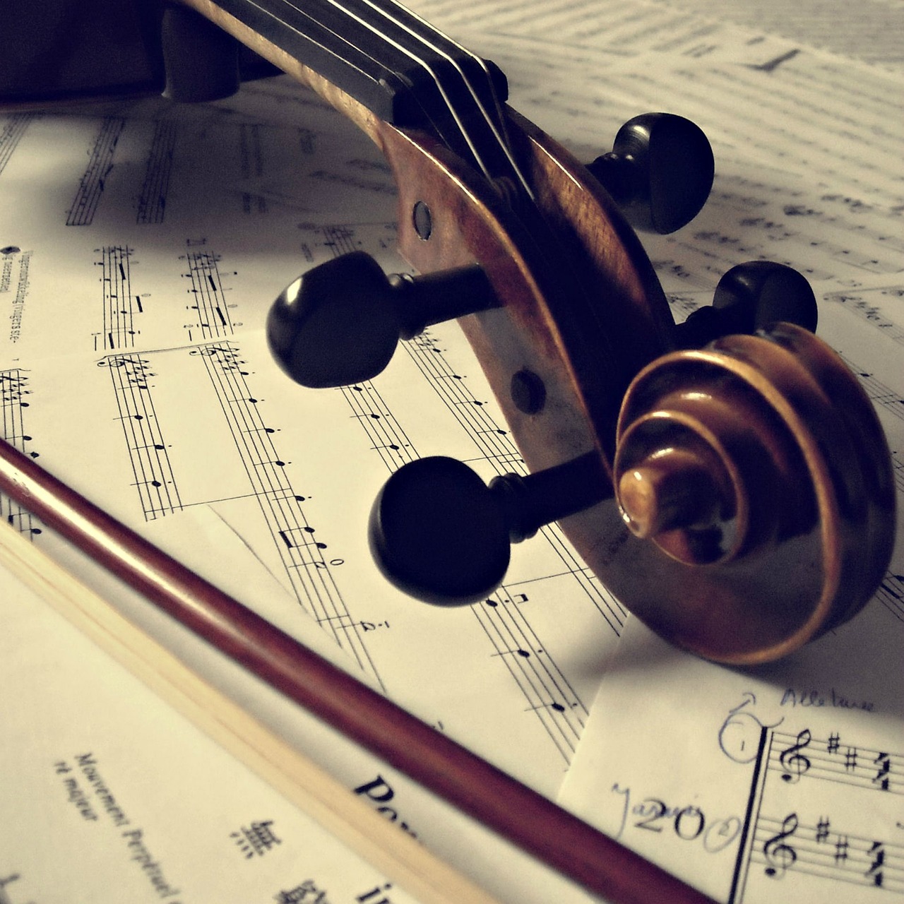 musical instrument violin curl free photo