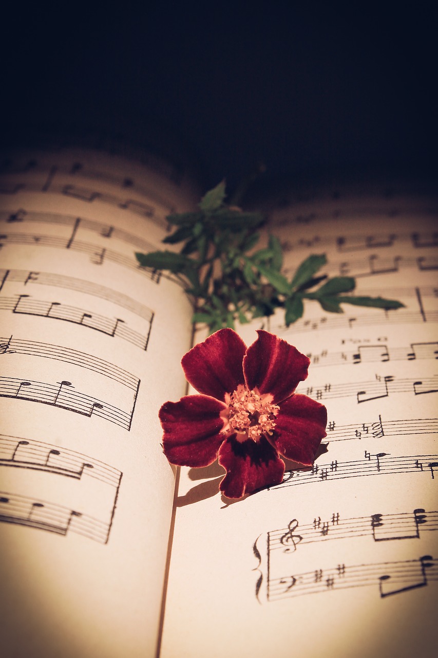 musical note  red rose  rose free photo