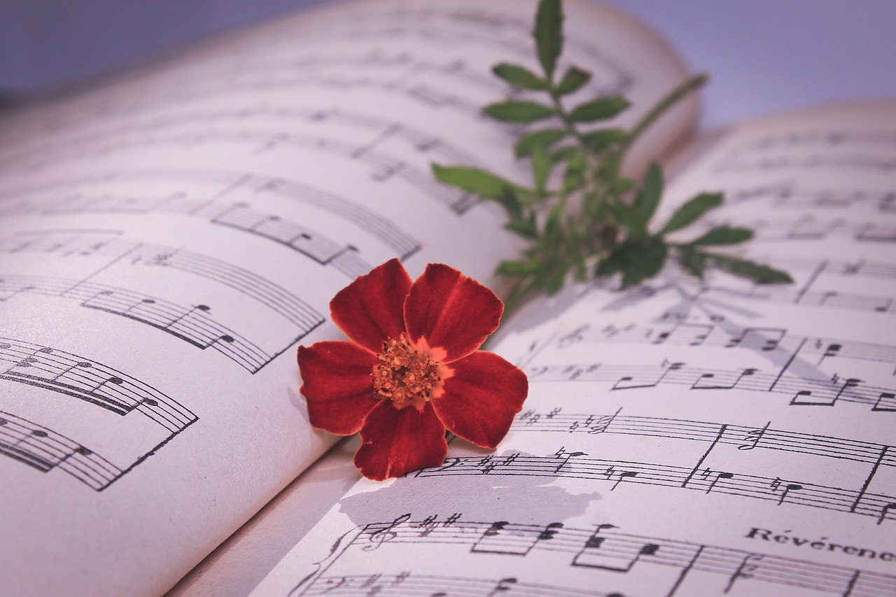 musical note  red rose  rose free photo