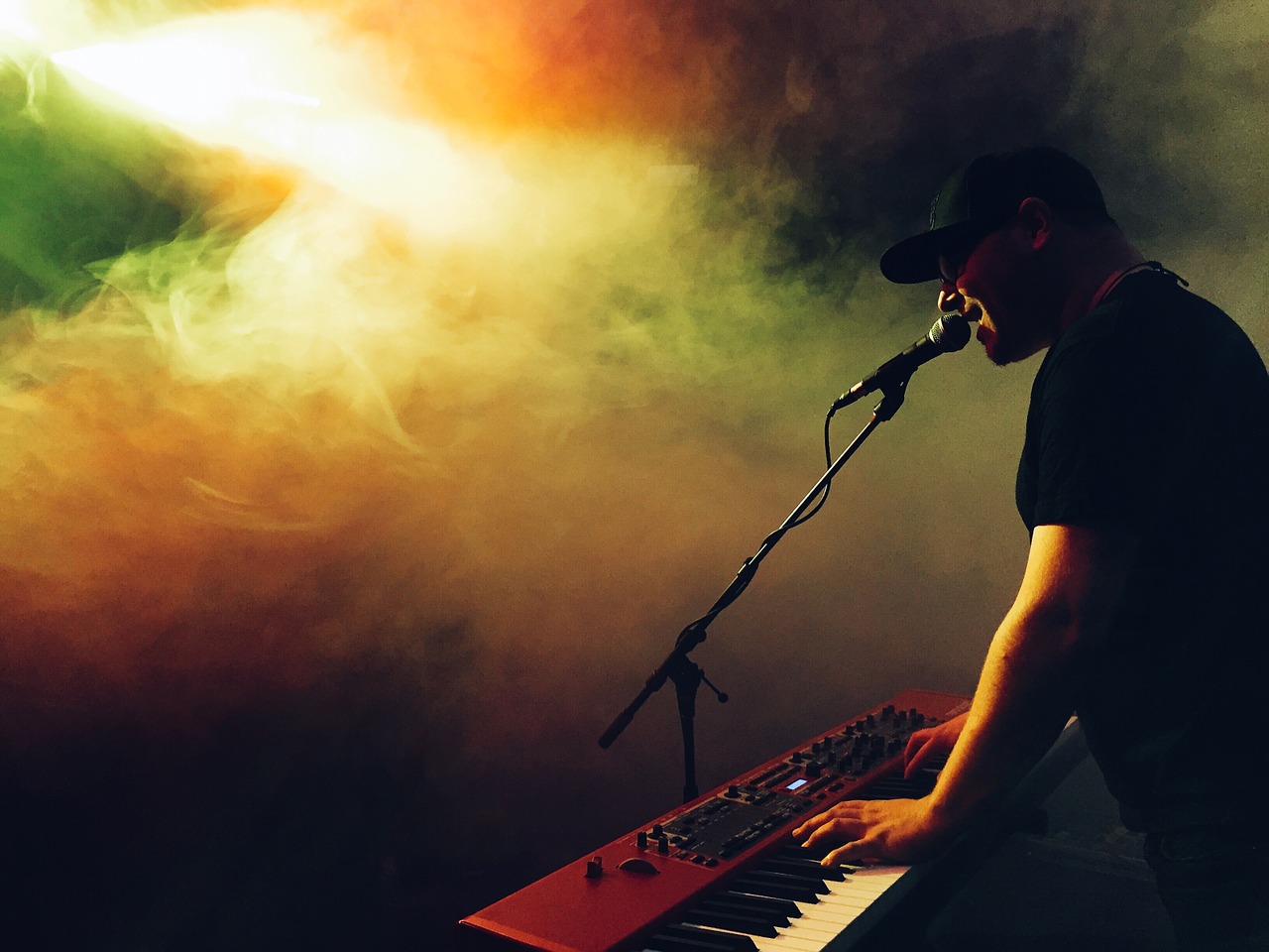 musician performer keyboard free photo
