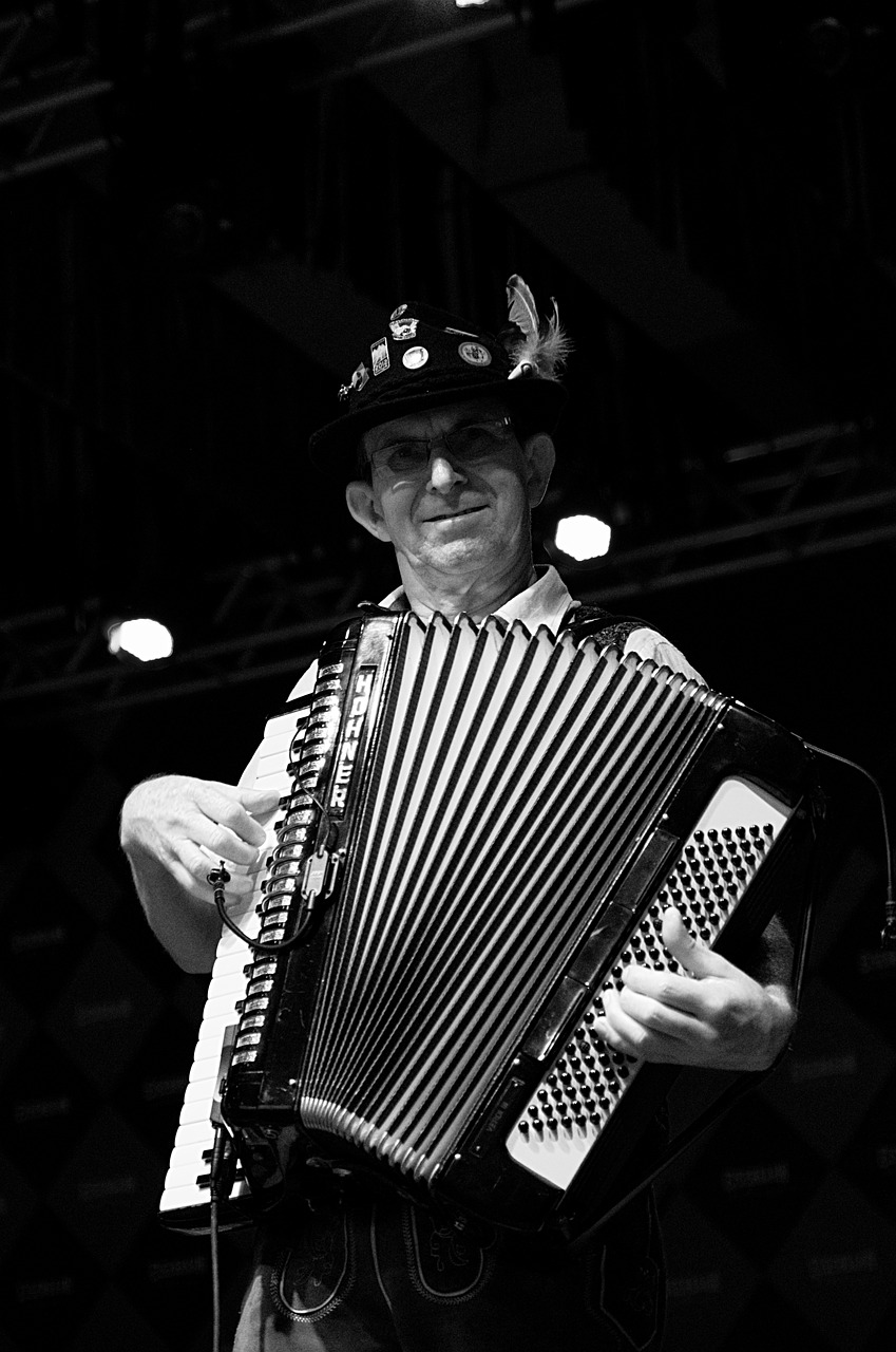 musician accordion instrument free photo