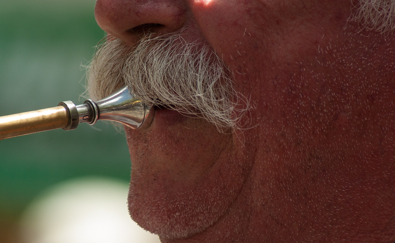 musician moustache hunting horn free photo