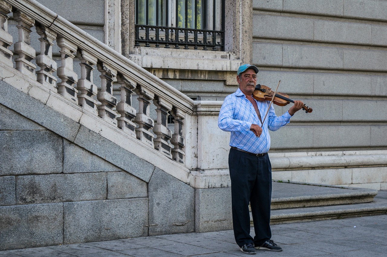 musician violin instruments free photo