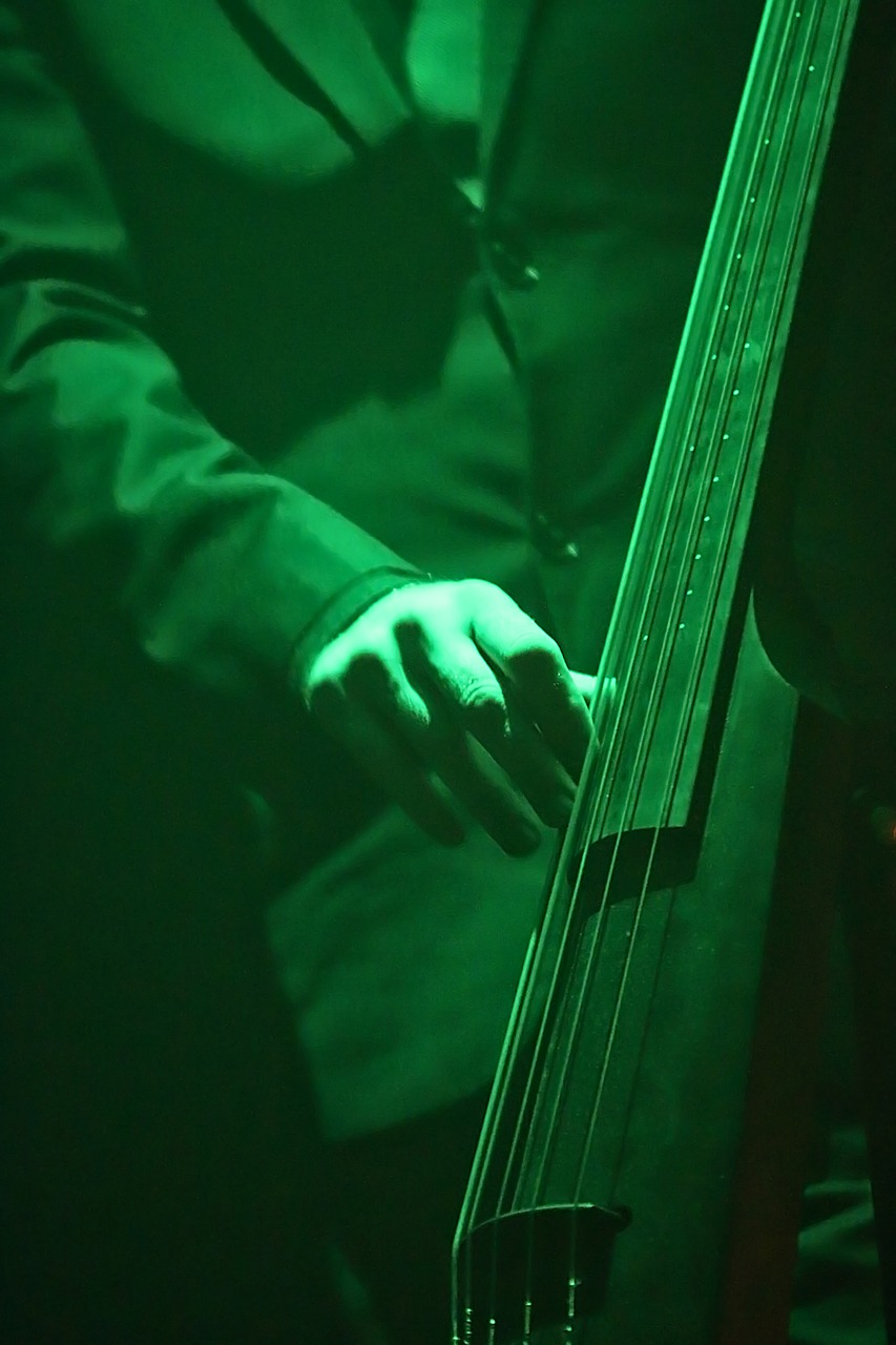 musician concert double bass free photo