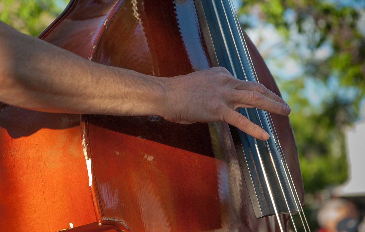musician double bass instrument free photo