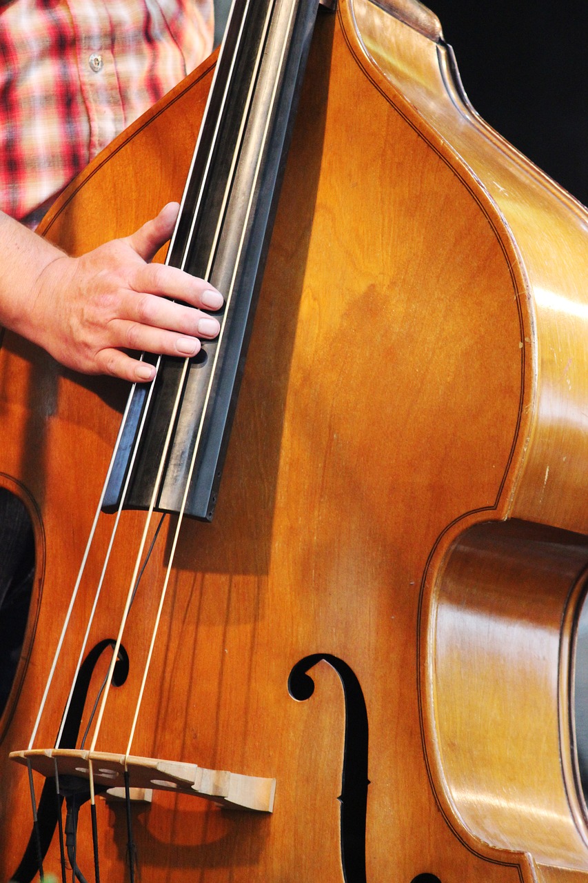 musician  instrument  double bass free photo