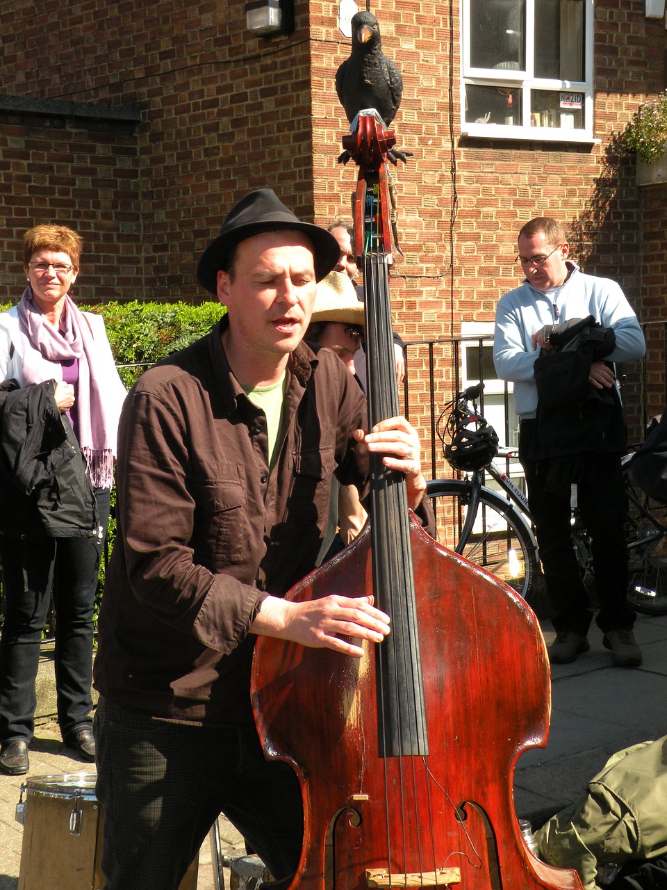 musician cello street free photo