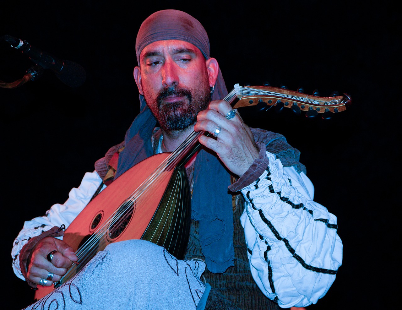 musician mandolin artist free photo