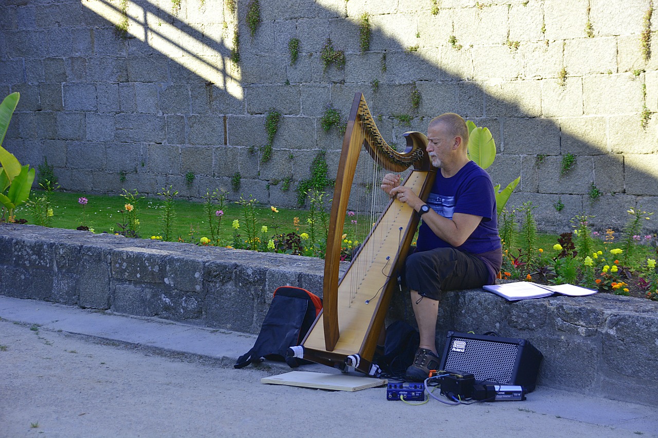 musician music harp free photo