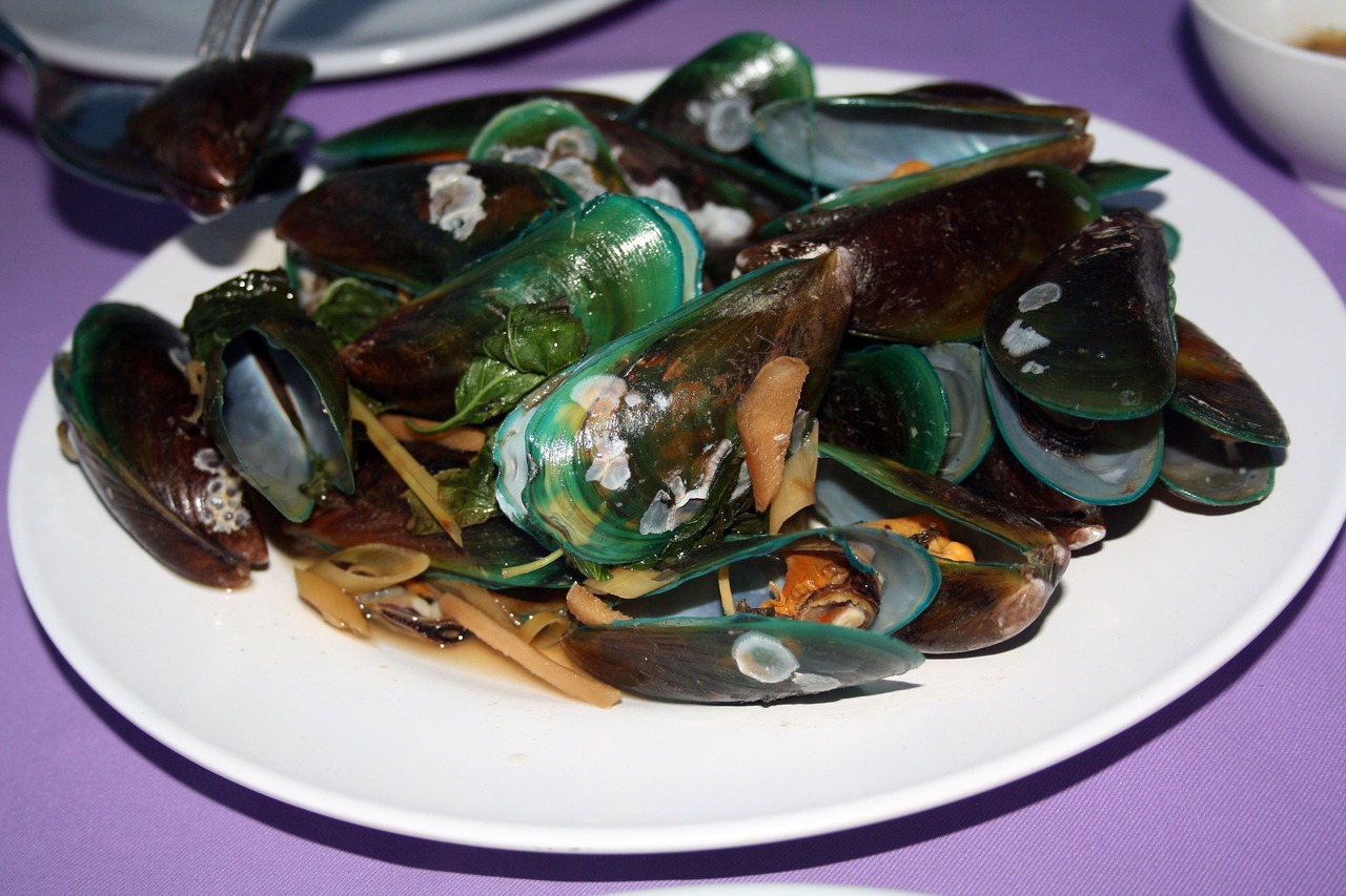 mussels eat thai asian clam dish free photo