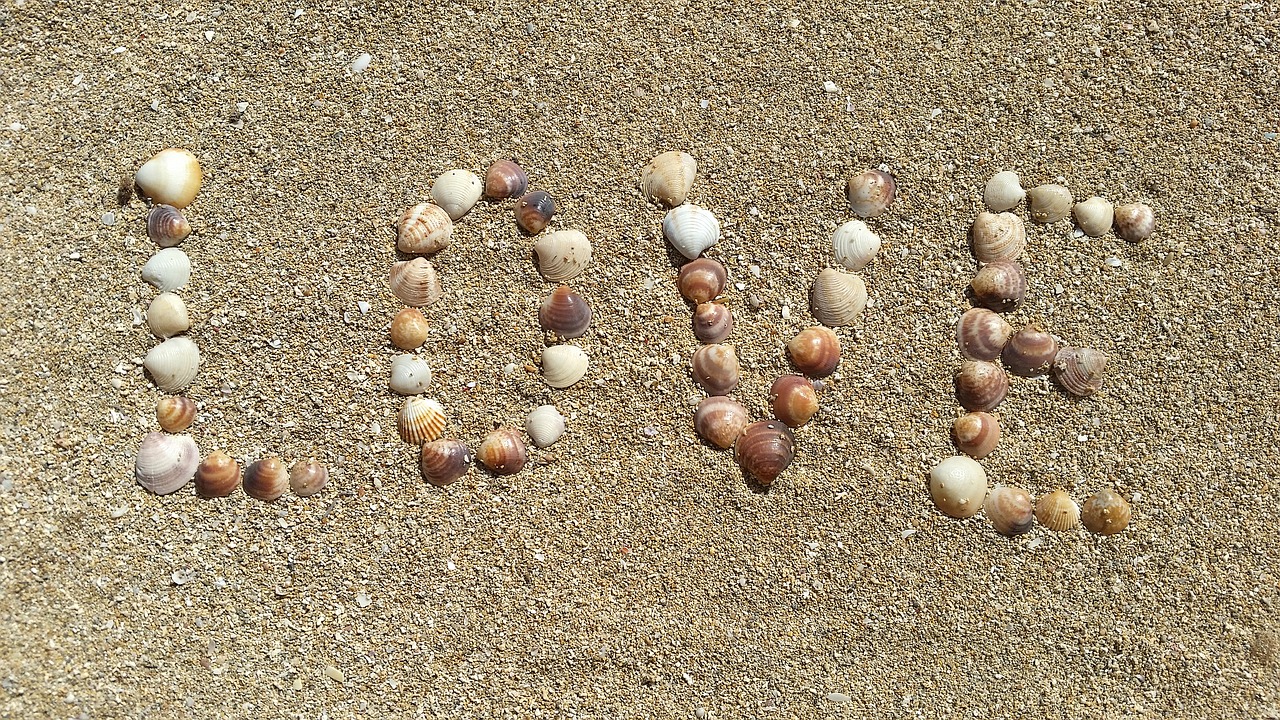 mussels sand love free photo