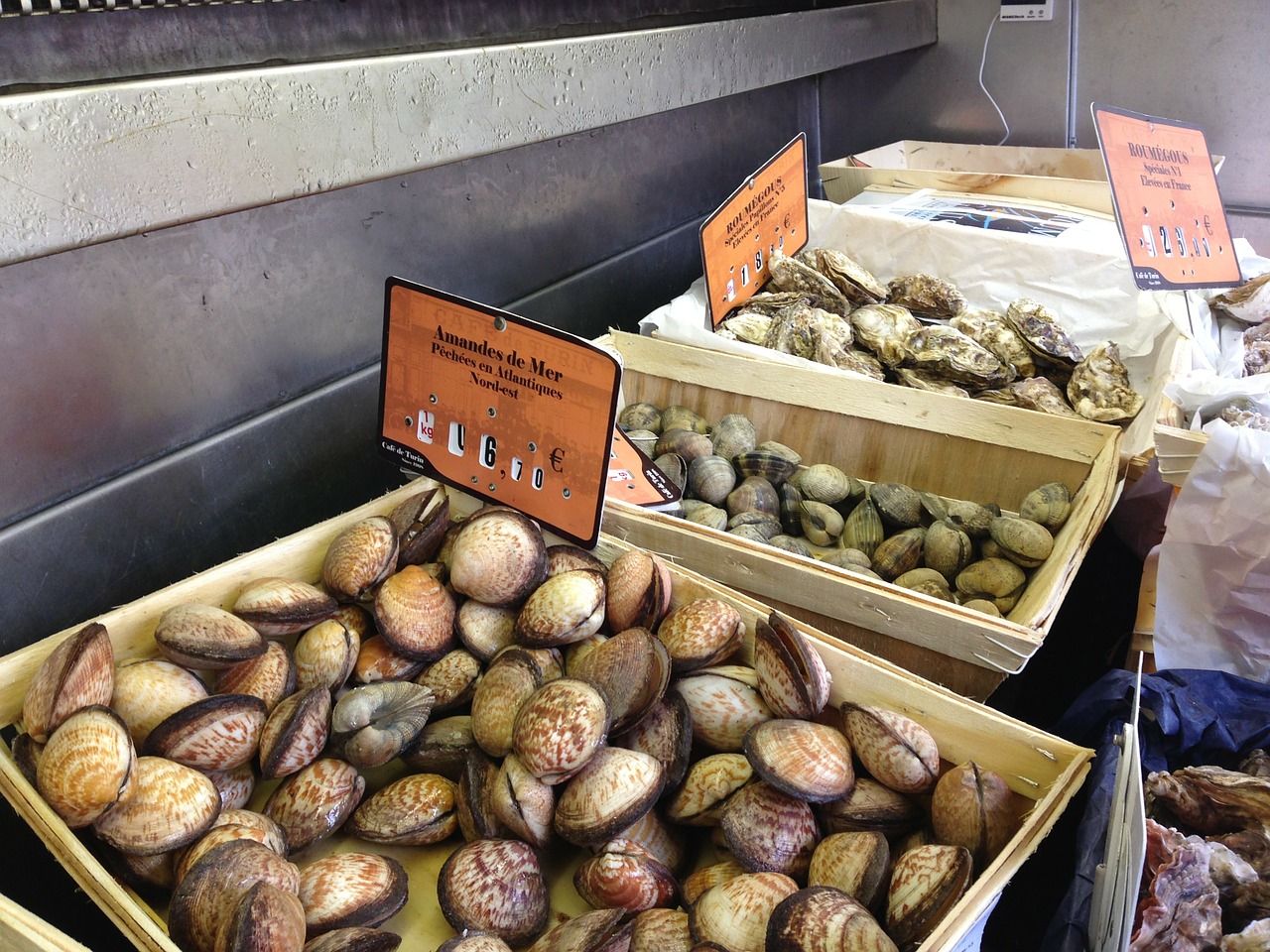 mussels sea fruit nice free photo