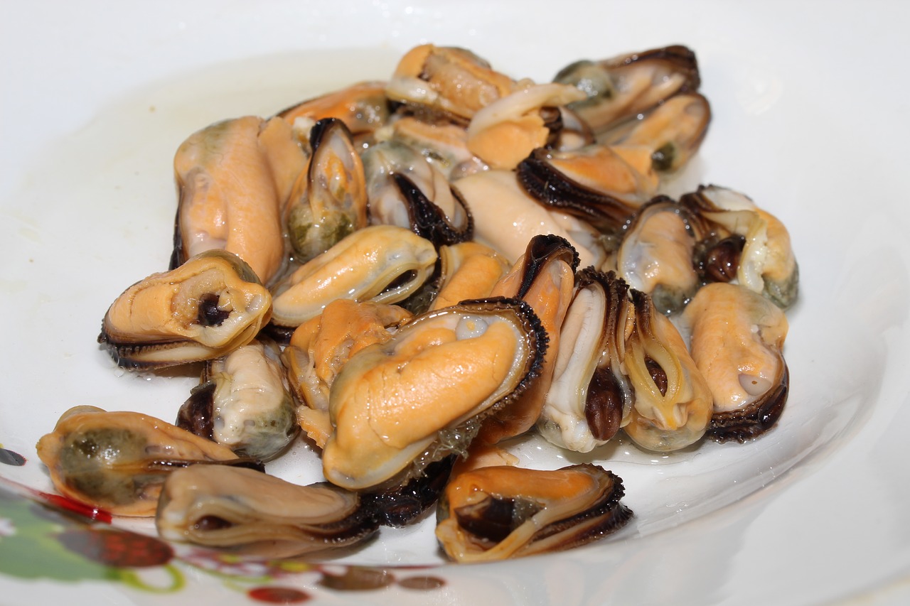 mussels  shellfish  butter free photo