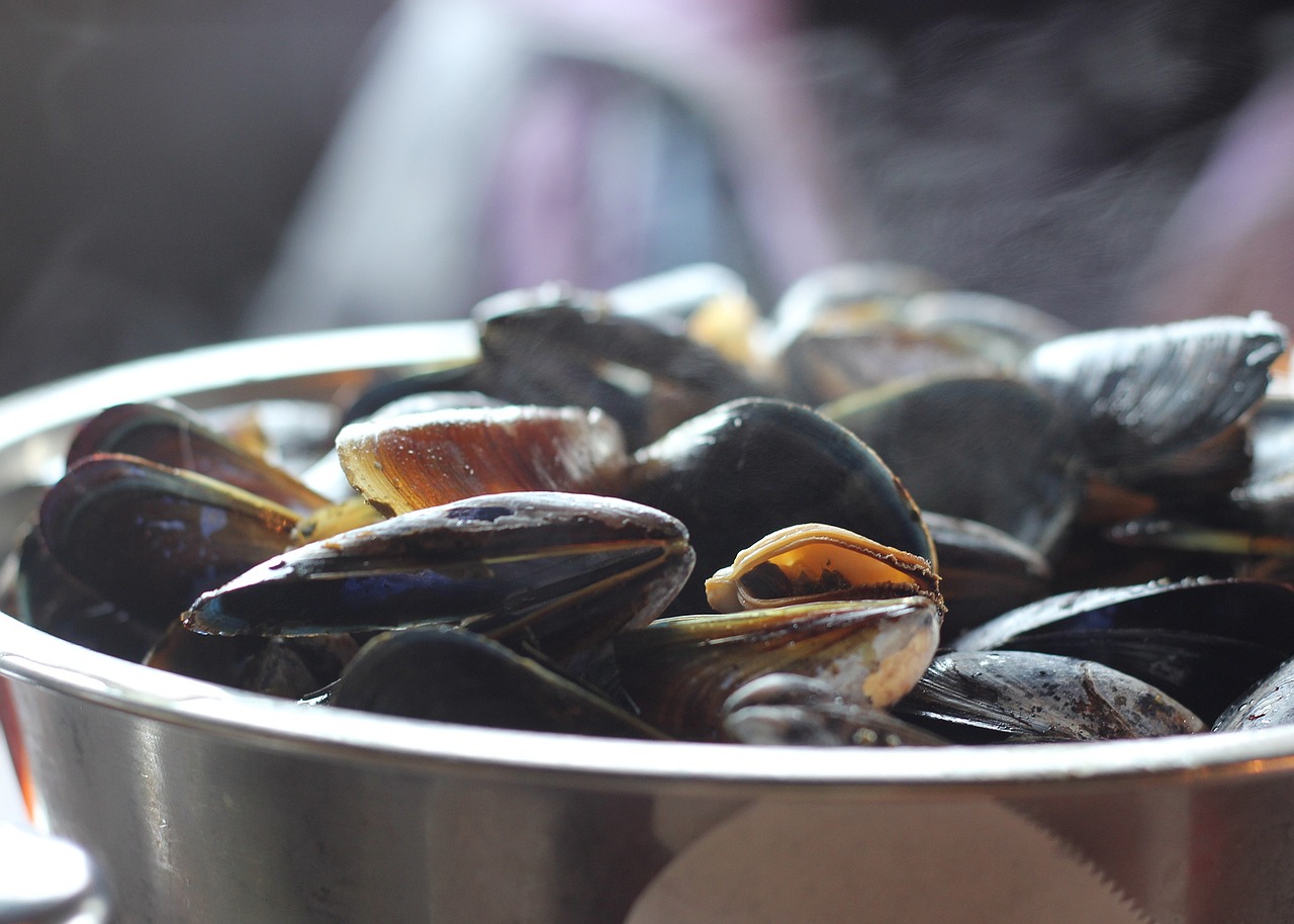 mussels food eat free photo