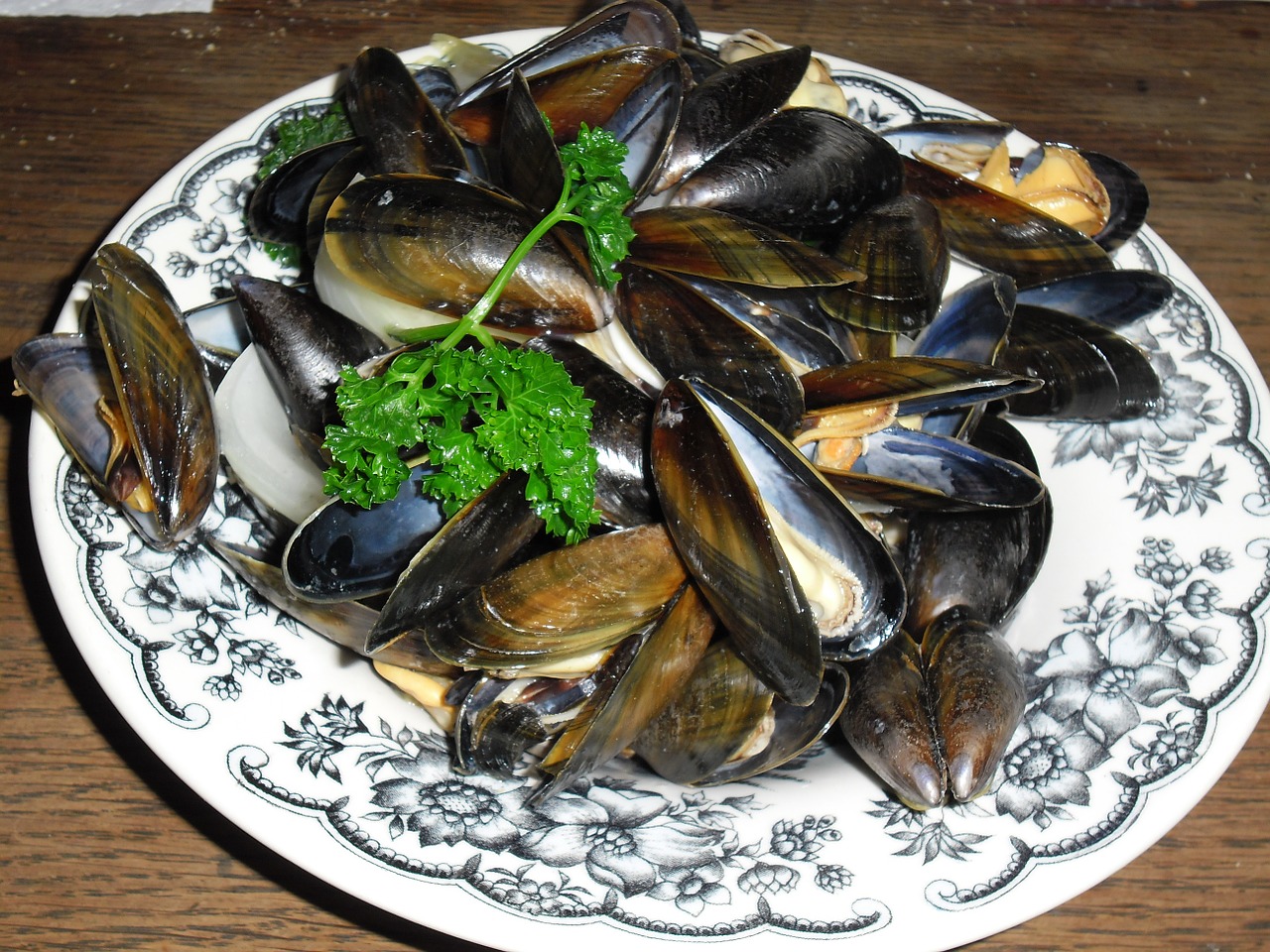 mussels power meals free photo