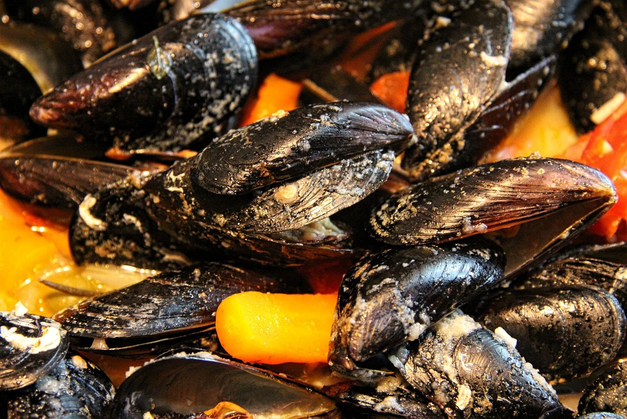 mussels seafood mediterranean free photo