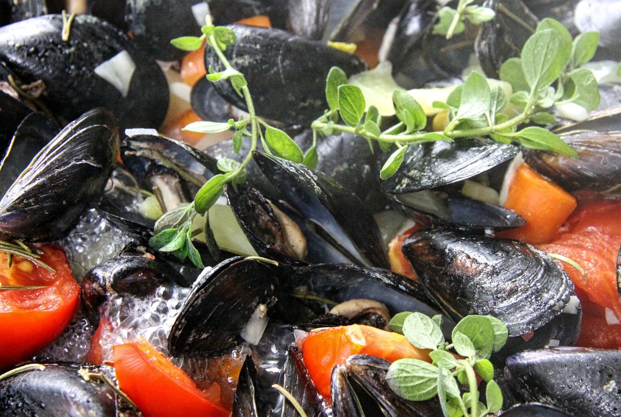 mussels seafood oregano free photo