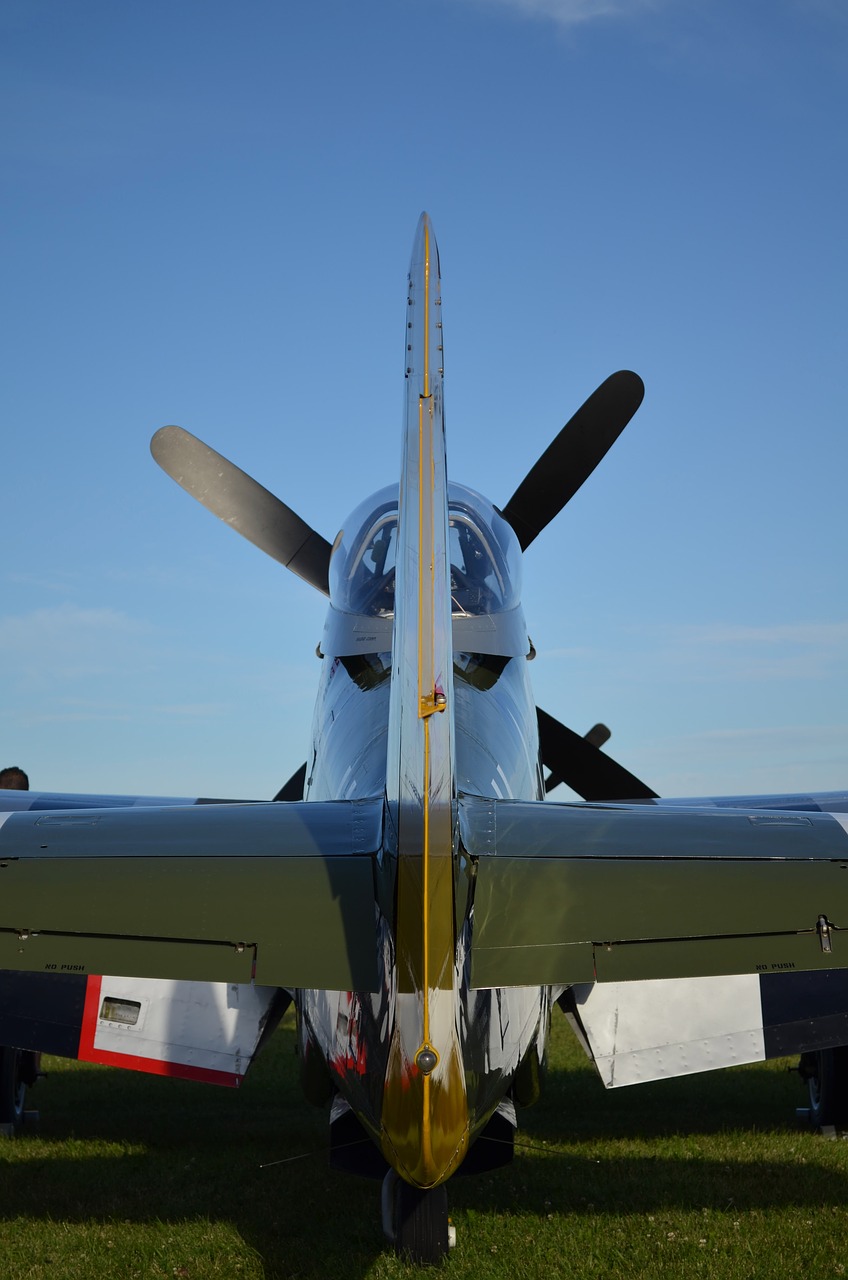 mustang p51 fighter free photo