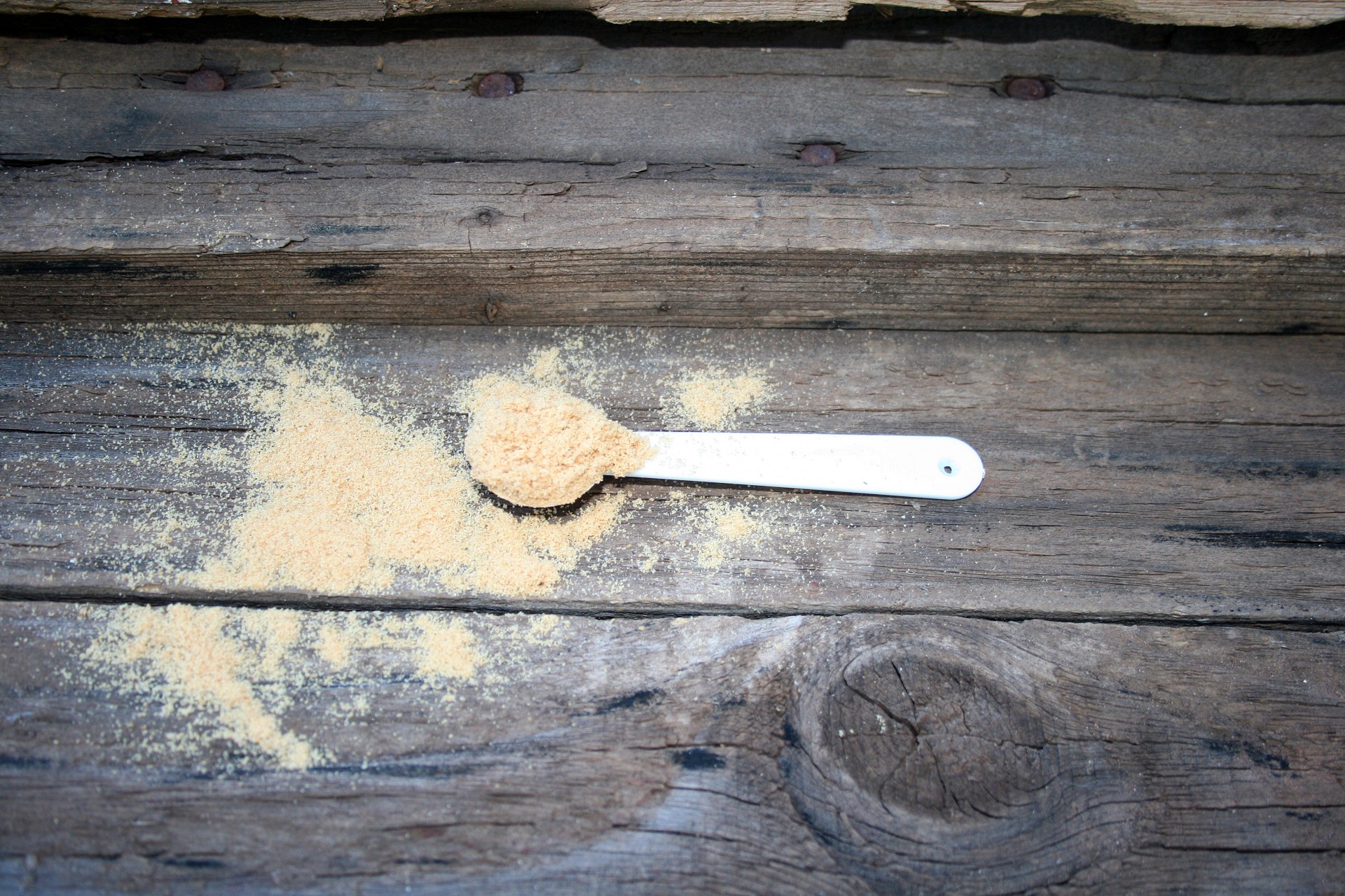 spoon mustard powder free photo