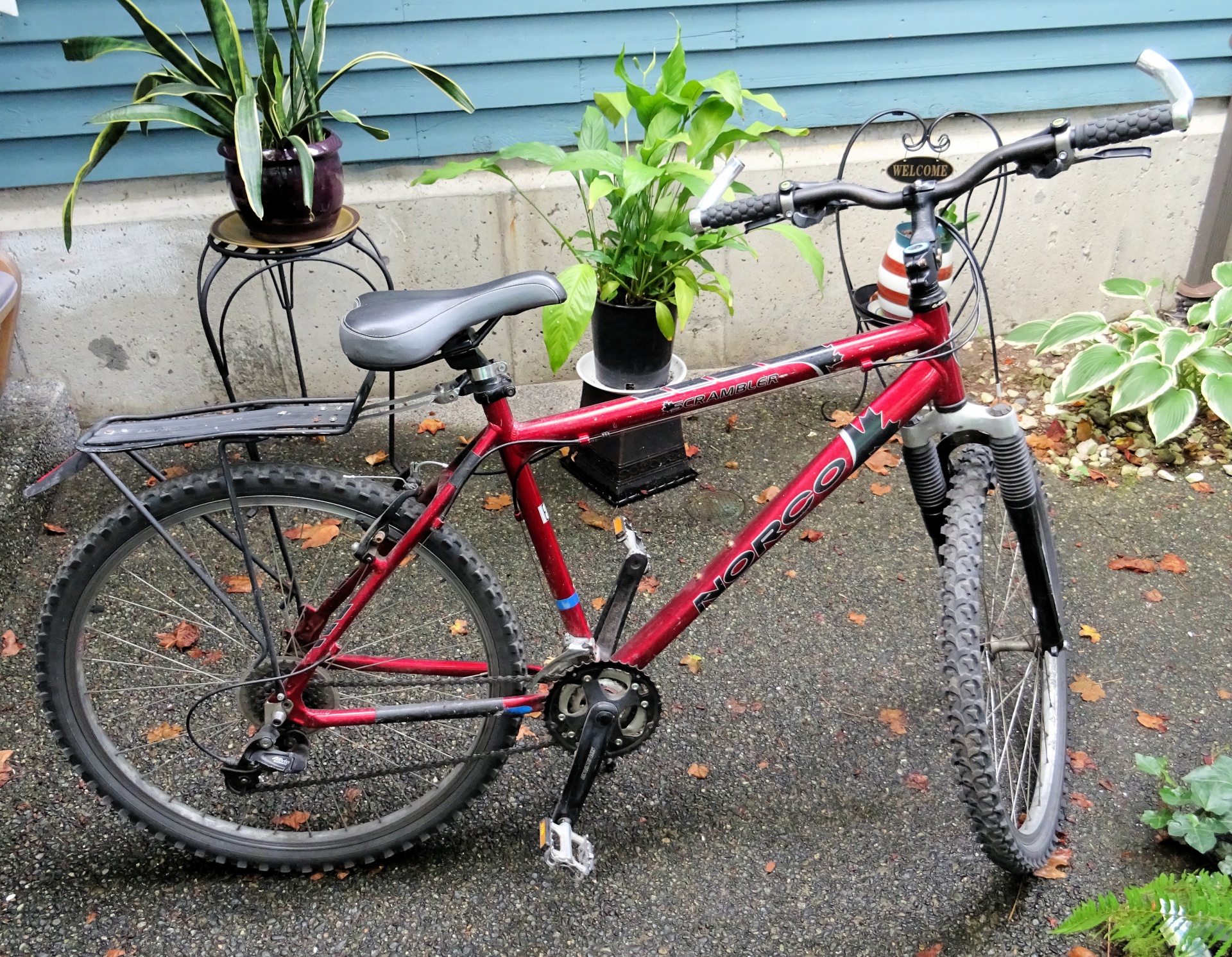 my bike backyard free photo